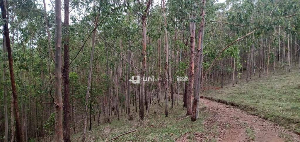Fazenda à venda com 3 quartos, 1110000M2 - Foto 66