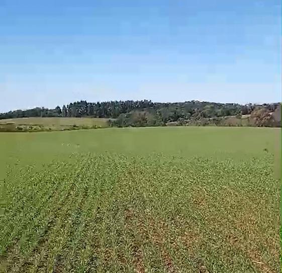 Fazenda à venda, 4m² - Foto 1