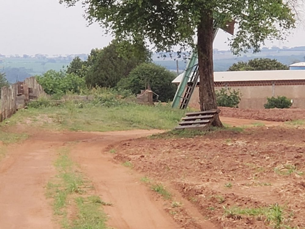 Fazenda, 53 hectares - Foto 7