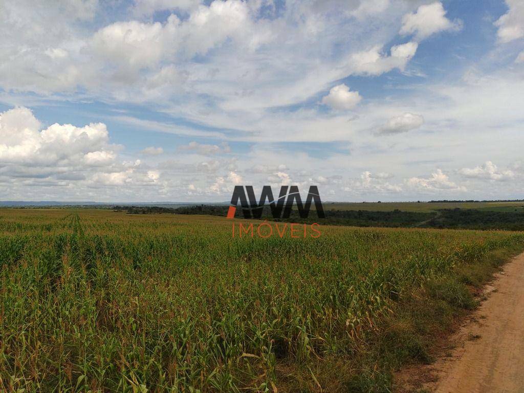 Fazenda-Sítio-Chácara, 16000 hectares - Foto 12