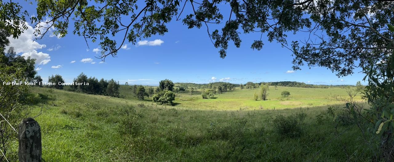 Fazenda à venda com 3 quartos, 52m² - Foto 17