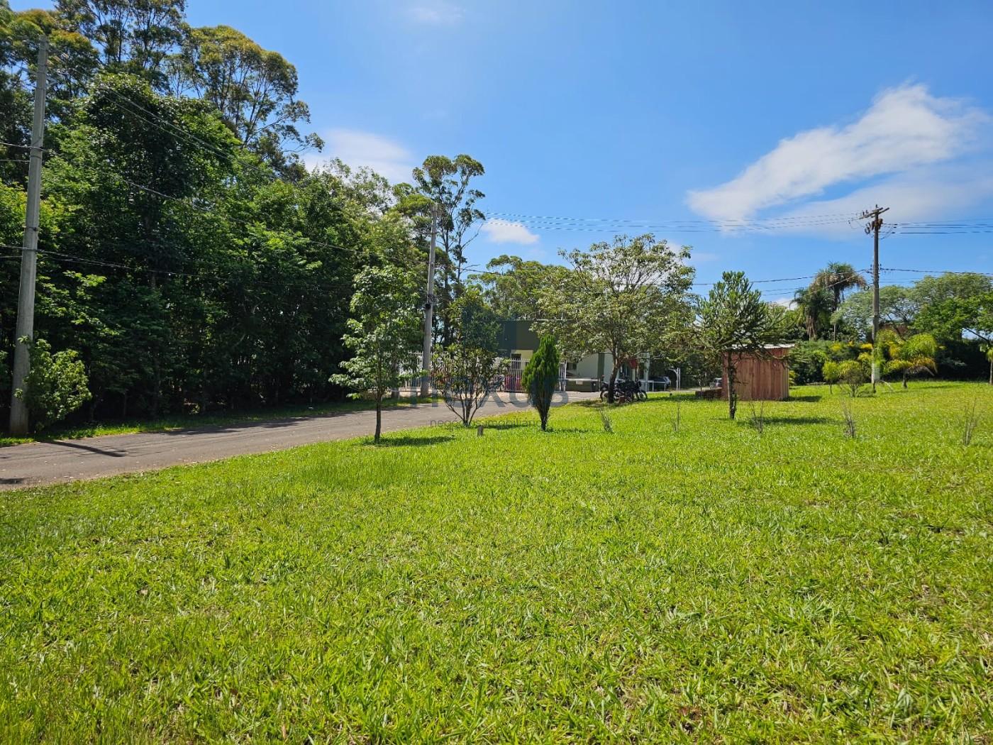 Terreno, 1000 m² - Foto 3