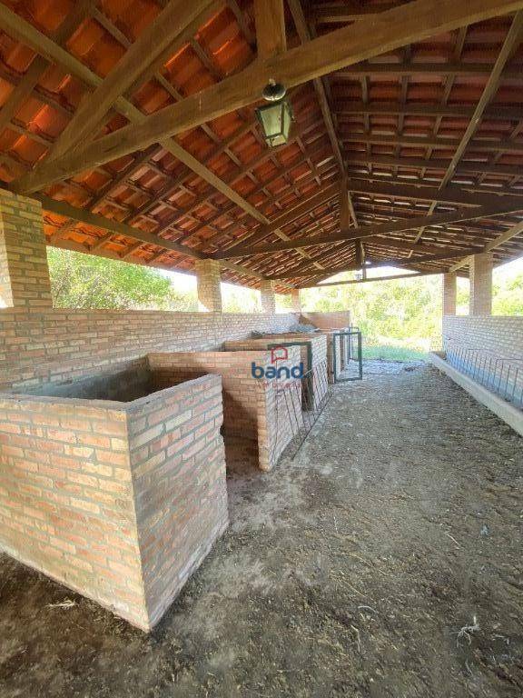 Haras e Área Rural Padrão à venda com 5 quartos, 108900M2 - Foto 46