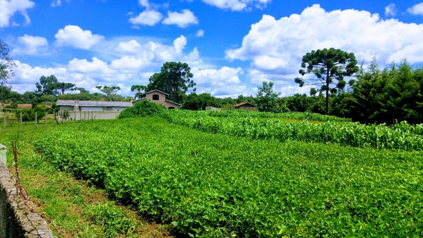 Fazenda à venda, 18900m² - Foto 51