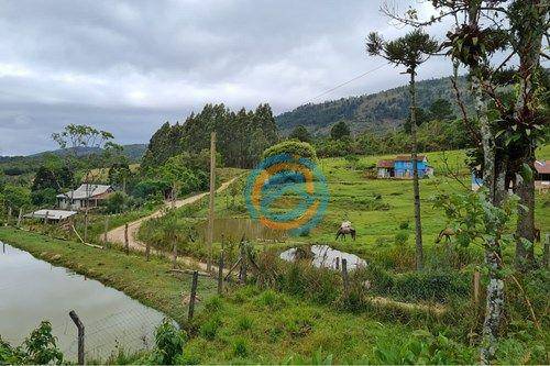 Chácara, 2 hectares - Foto 14