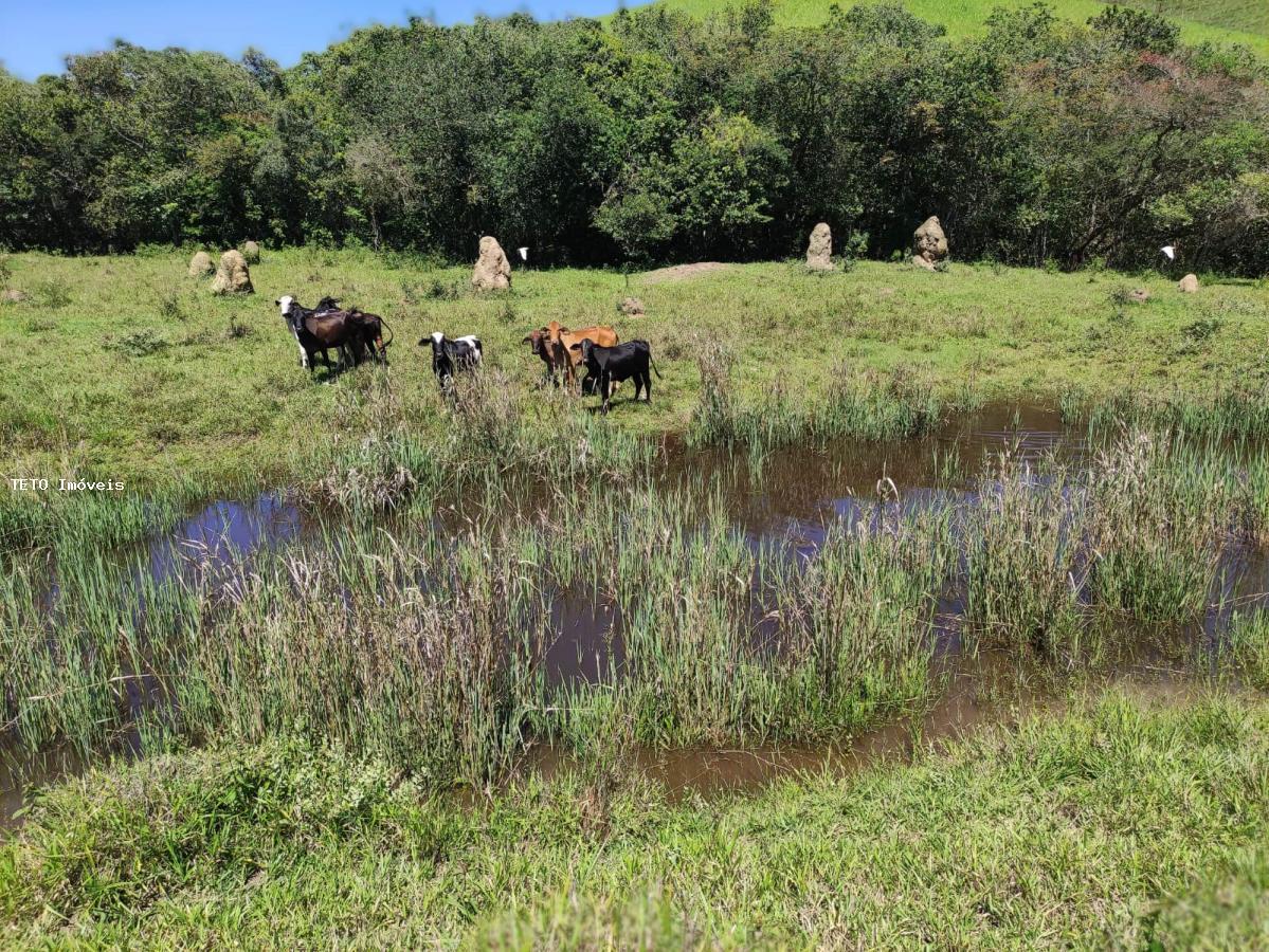 Fazenda à venda, 7m² - Foto 15