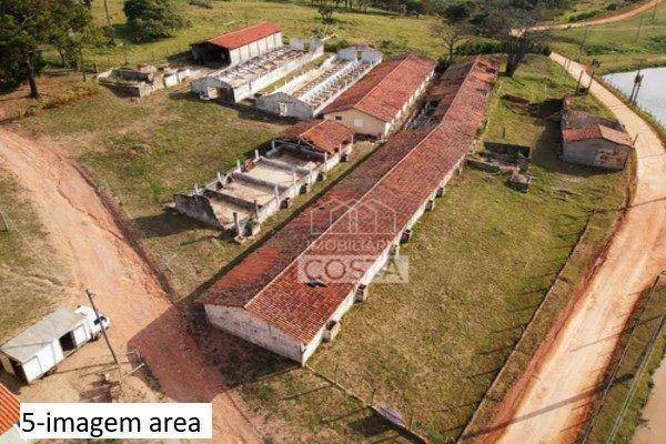 Sítio à venda com 4 quartos, 16600M2 - Foto 4