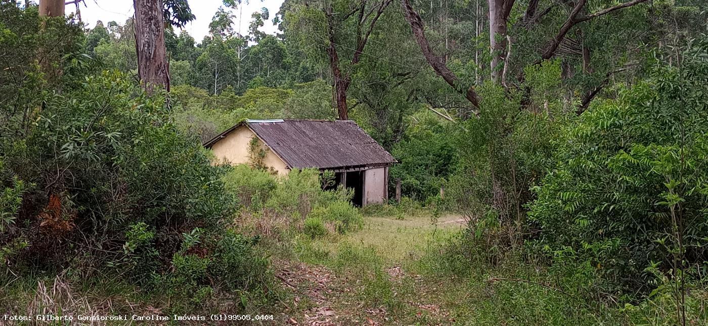 Loteamento e Condomínio à venda, 320000m² - Foto 4