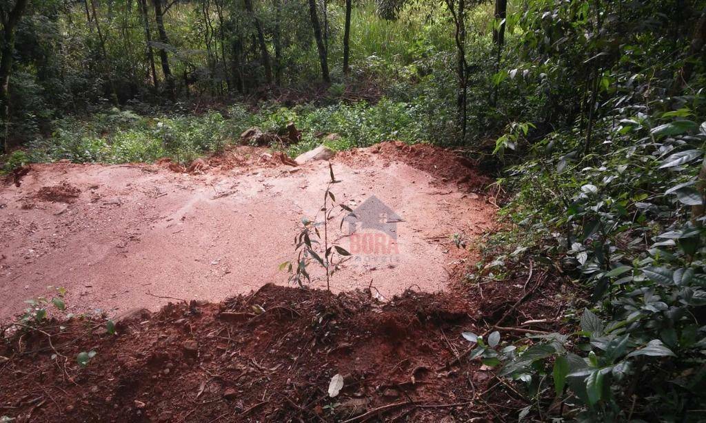 Terreno à venda, 453M2 - Foto 1