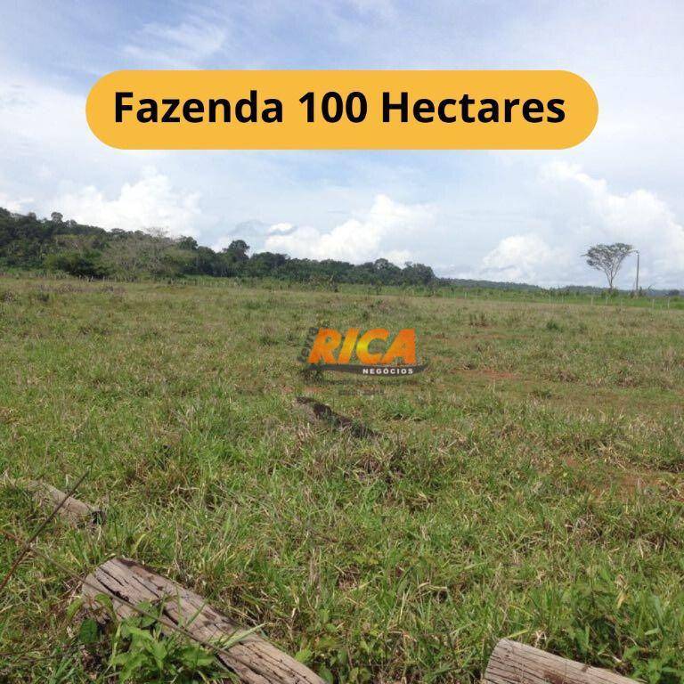Fazenda-Sítio-Chácara, 100 hectares - Foto 1