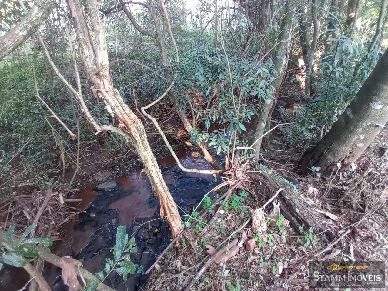 Fazenda à venda com 4 quartos, 3m² - Foto 35