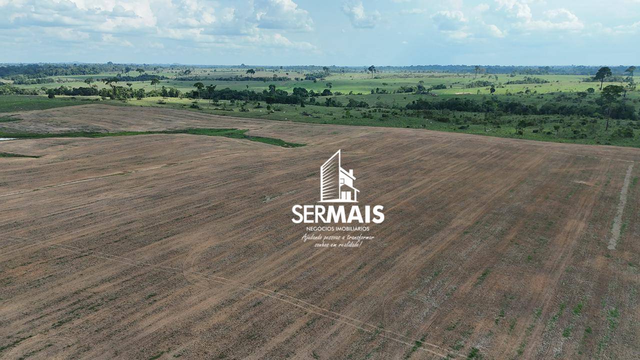 Fazenda, 242 hectares - Foto 5