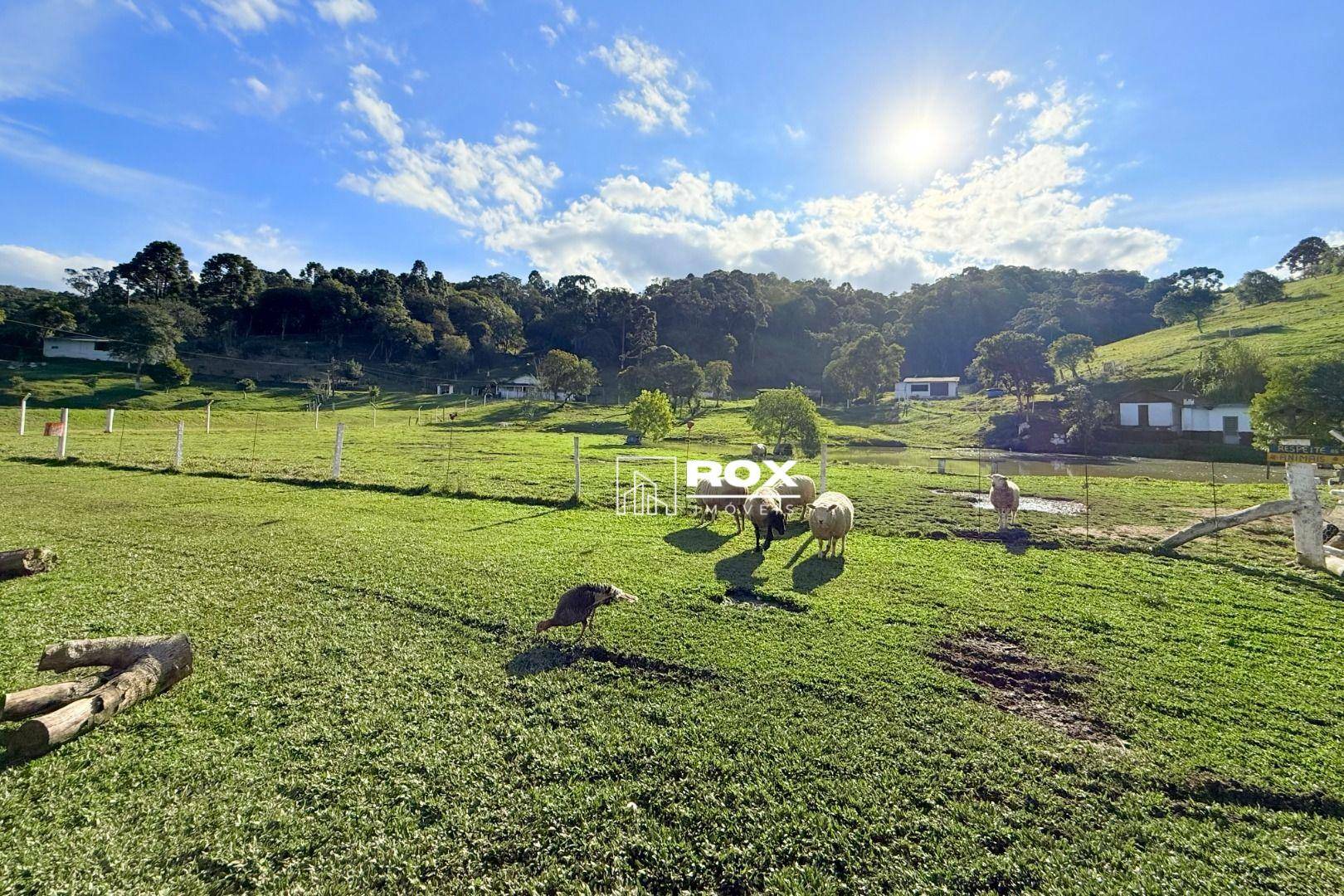 Chácara à venda com 6 quartos, 350m² - Foto 29