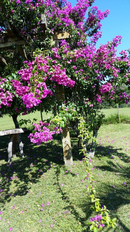 Fazenda à venda com 2 quartos, 3m² - Foto 19