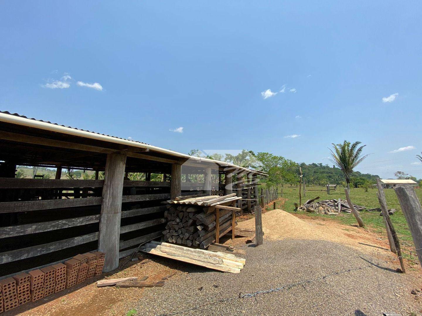 Fazenda à venda com 3 quartos, 2420000M2 - Foto 6