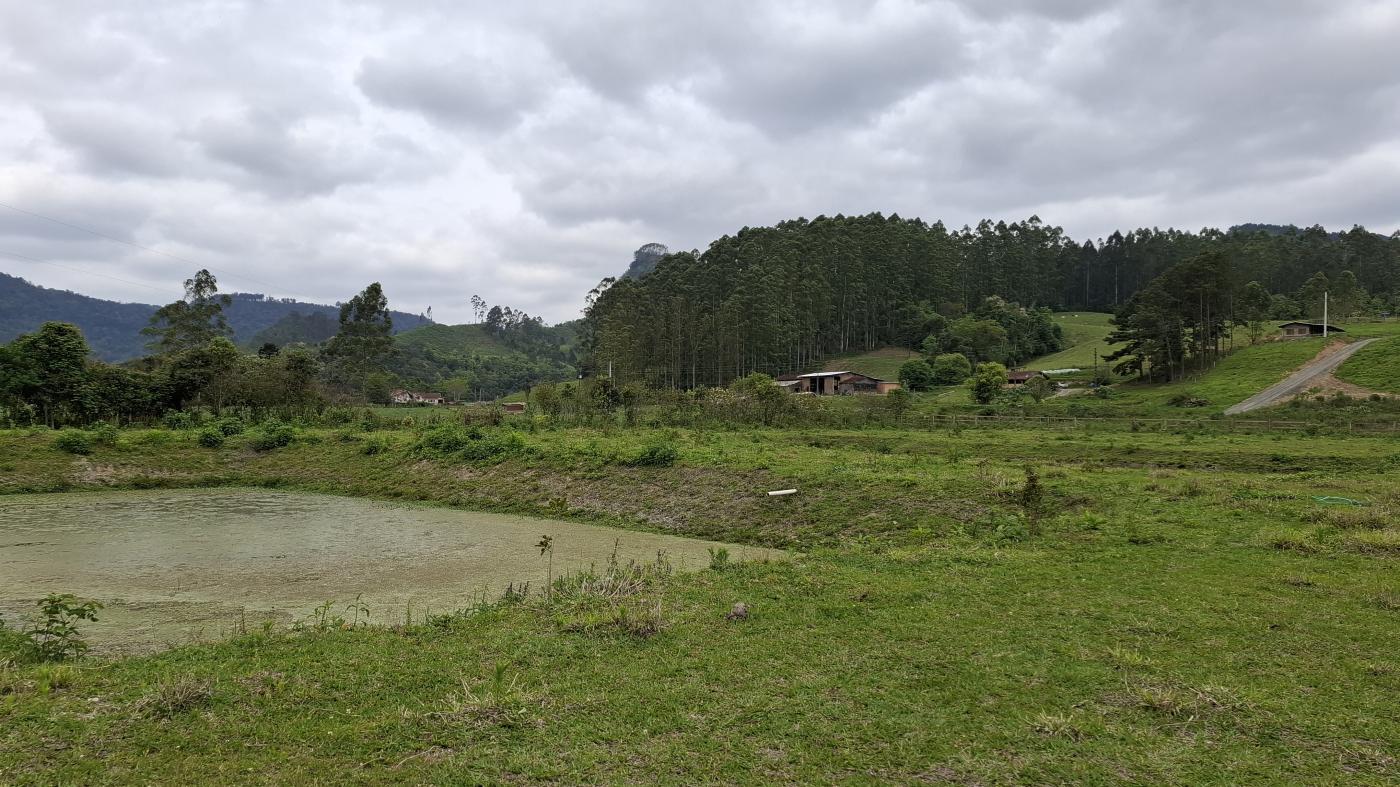 Fazenda à venda com 1 quarto, 10000m² - Foto 17