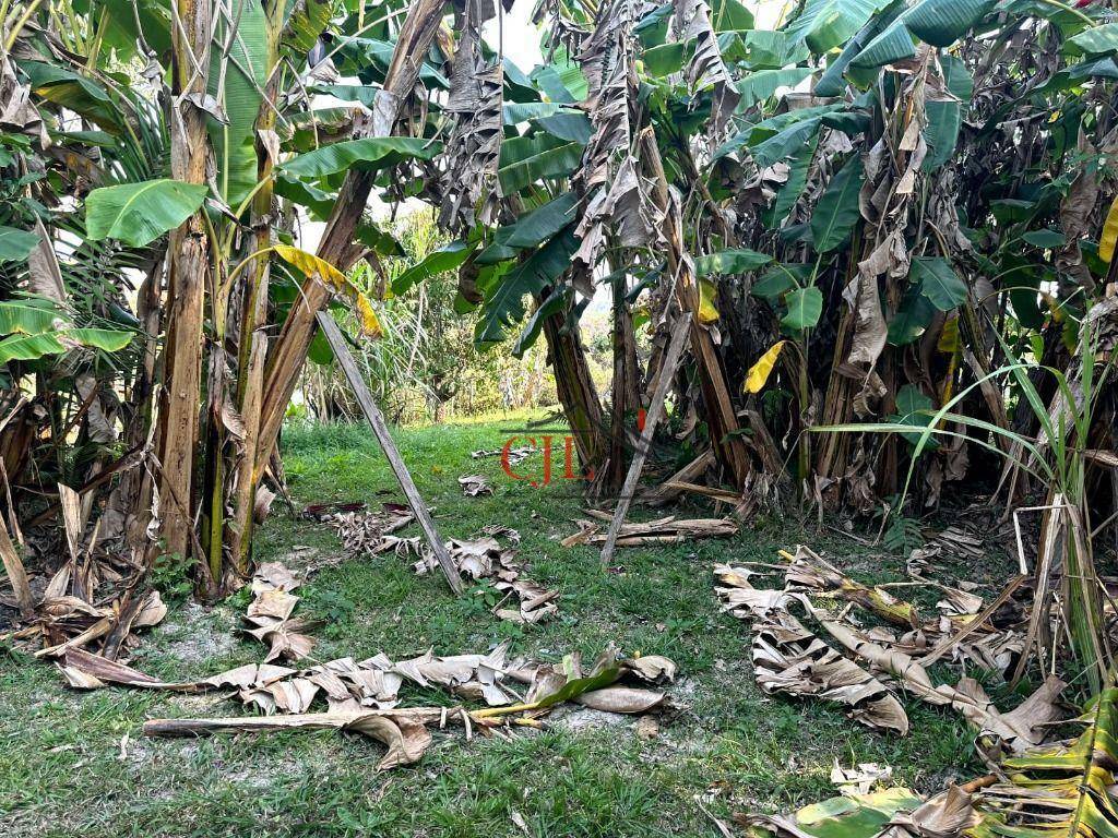 Chácara à venda com 3 quartos, 1800M2 - Foto 11