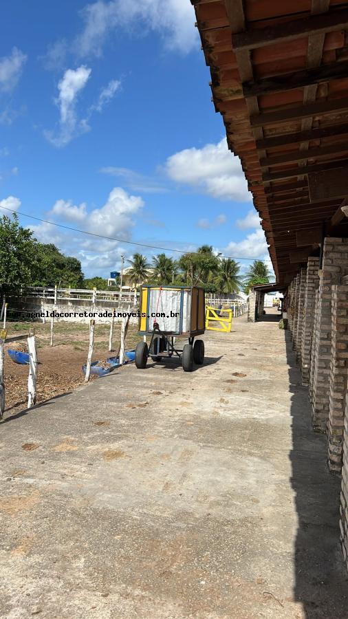 Fazenda à venda com 2 quartos, 6300m² - Foto 18