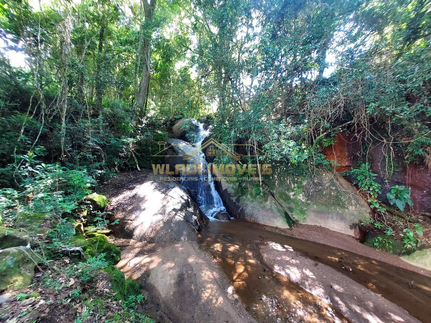 Fazenda à venda com 3 quartos, 30000m² - Foto 15