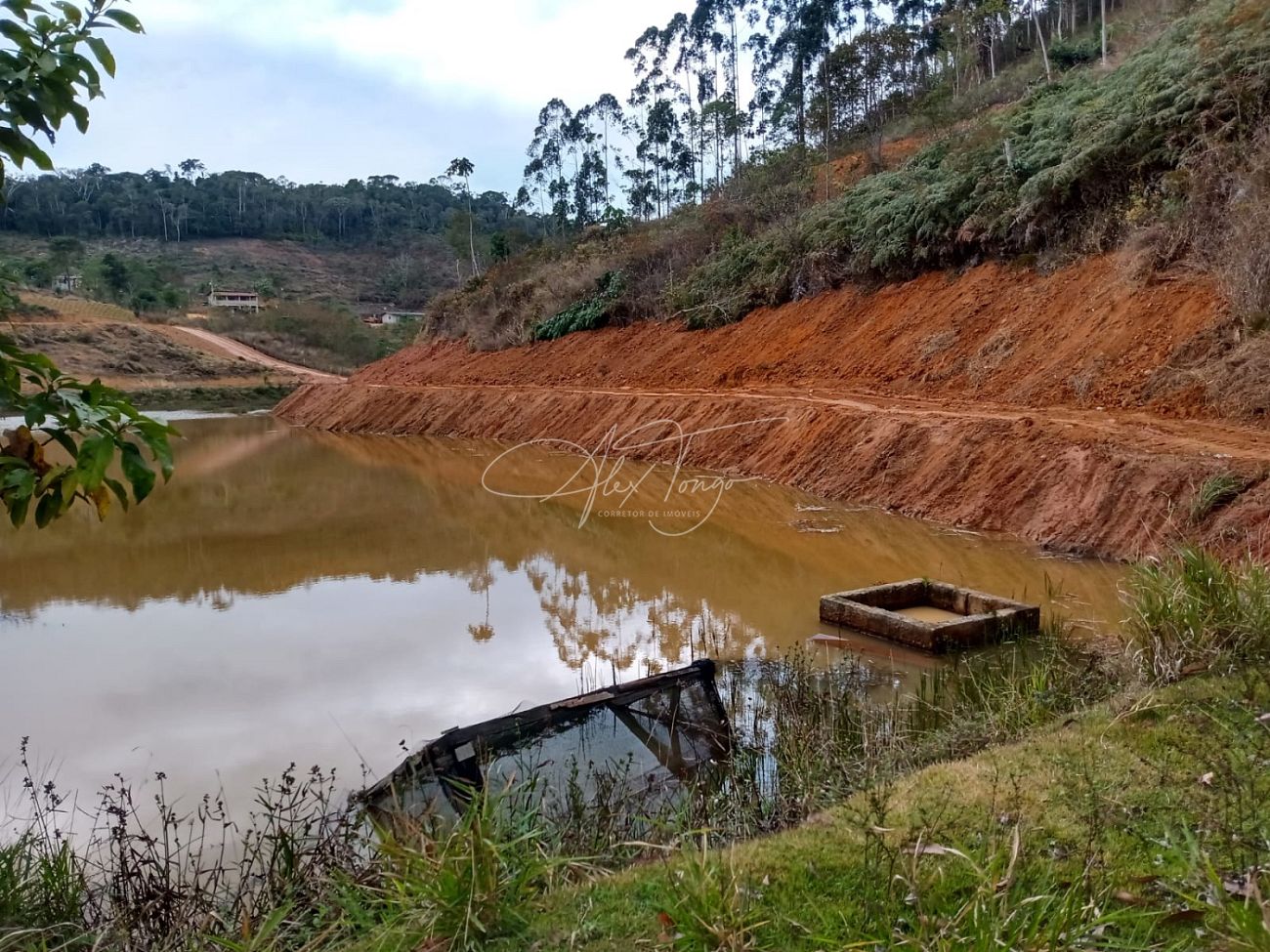 Fazenda à venda, 3000m² - Foto 6