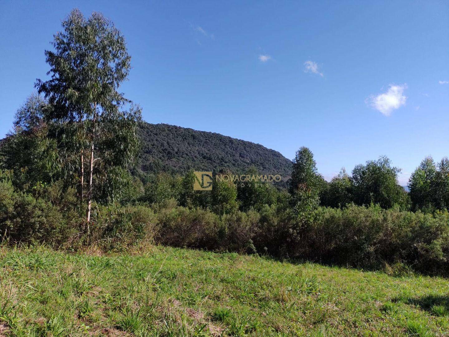 Sítio à venda, 67000M2 - Foto 13