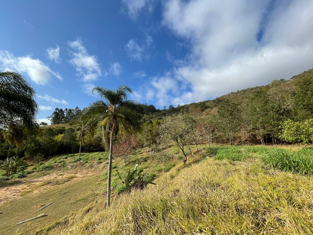 Loteamento e Condomínio à venda, 4812M2 - Foto 1