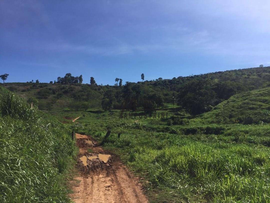 Fazenda à venda, 5469200M2 - Foto 46