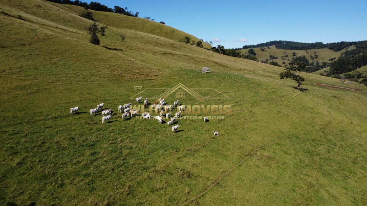 Fazenda à venda, 100m² - Foto 1