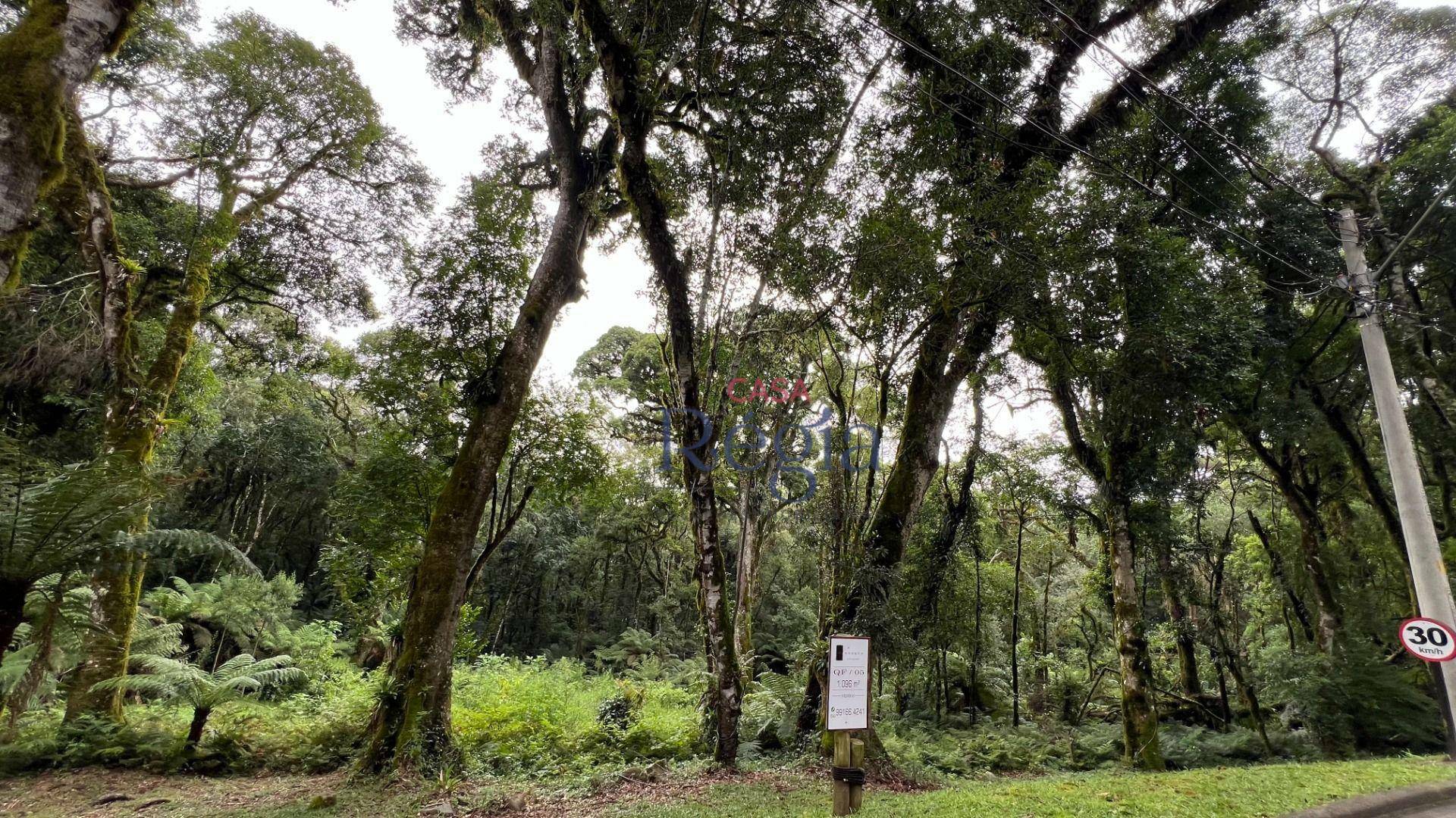 Loteamento e Condomínio à venda, 1024M2 - Foto 7