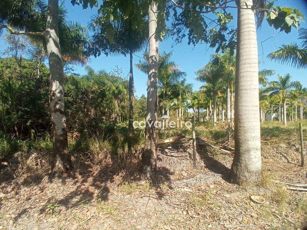 Terreno à venda, 2000M2 - Foto 1