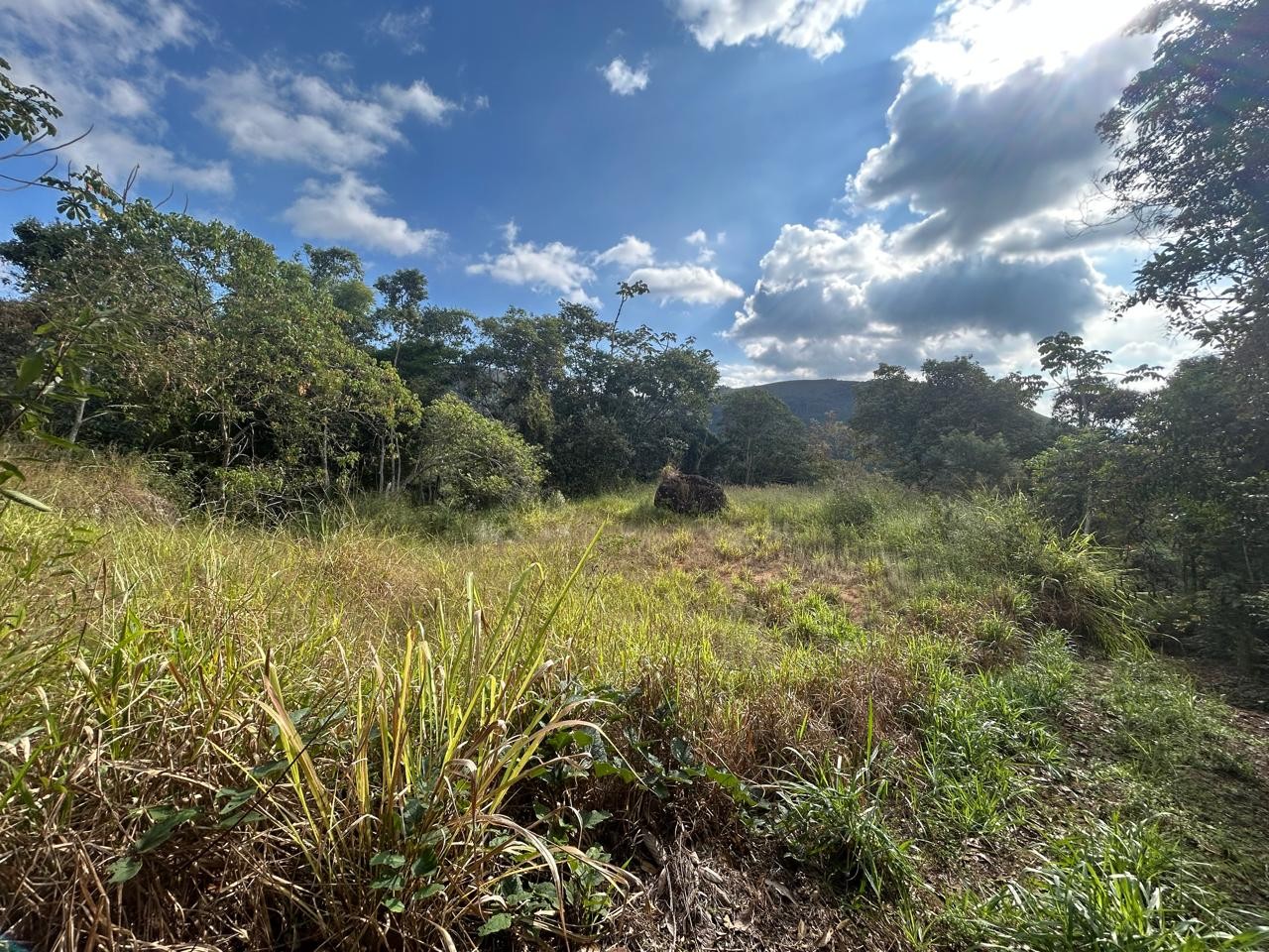 Terreno à venda, 178000m² - Foto 6