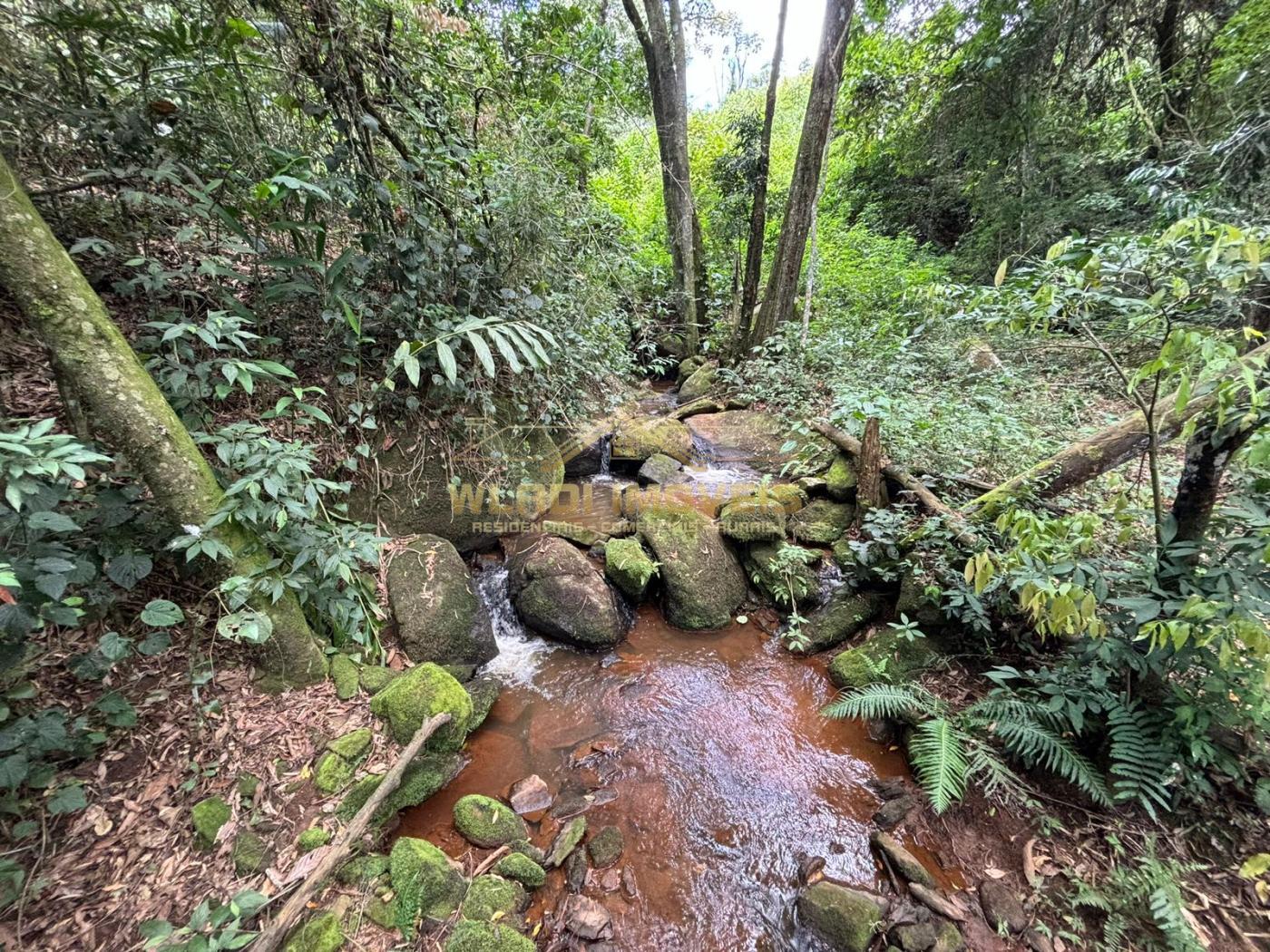 Terreno à venda - Foto 7