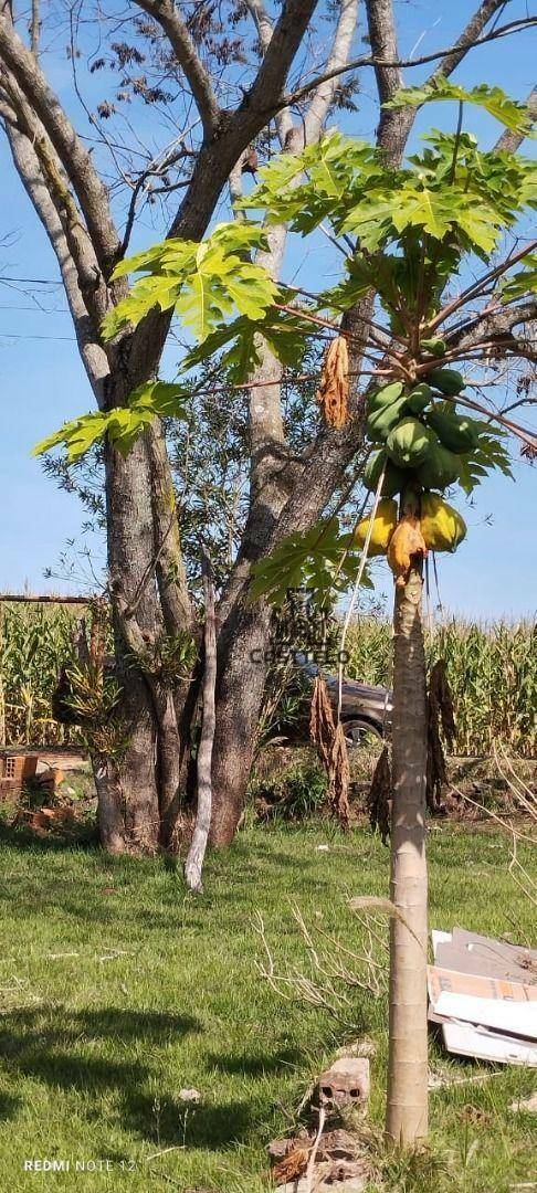 Chácara à venda com 2 quartos, 100m² - Foto 33