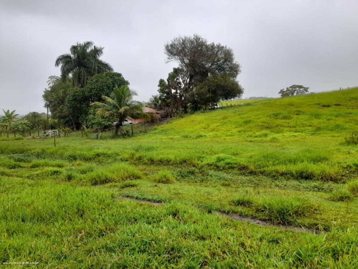 Fazenda à venda com 2 quartos, 61000m² - Foto 3