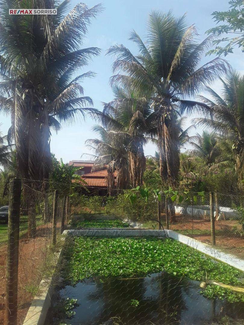 Chácara à venda com 5 quartos, 5000M2 - Foto 2