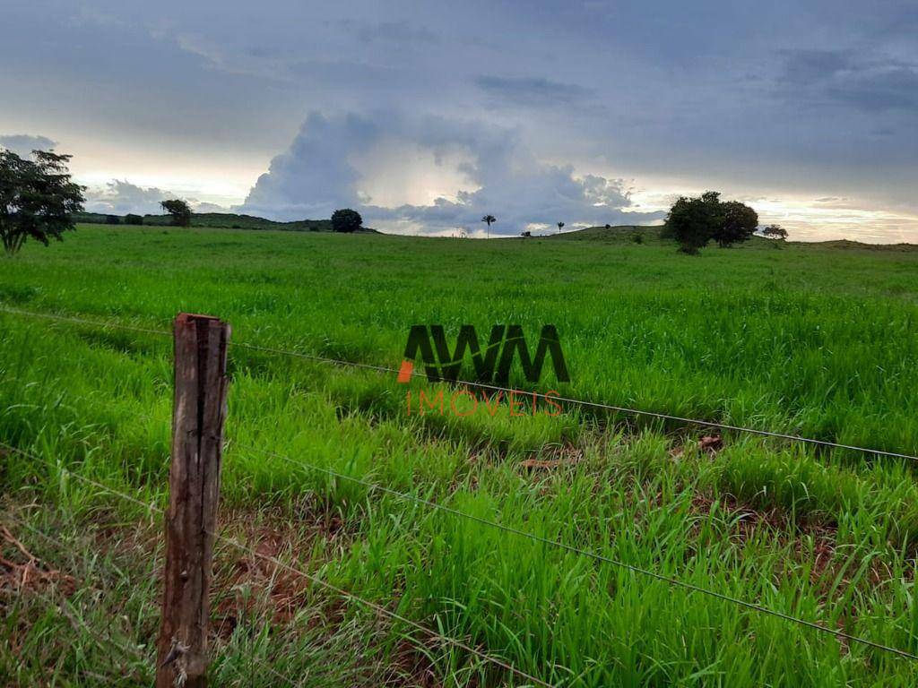 Fazenda à venda, 87120000M2 - Foto 22