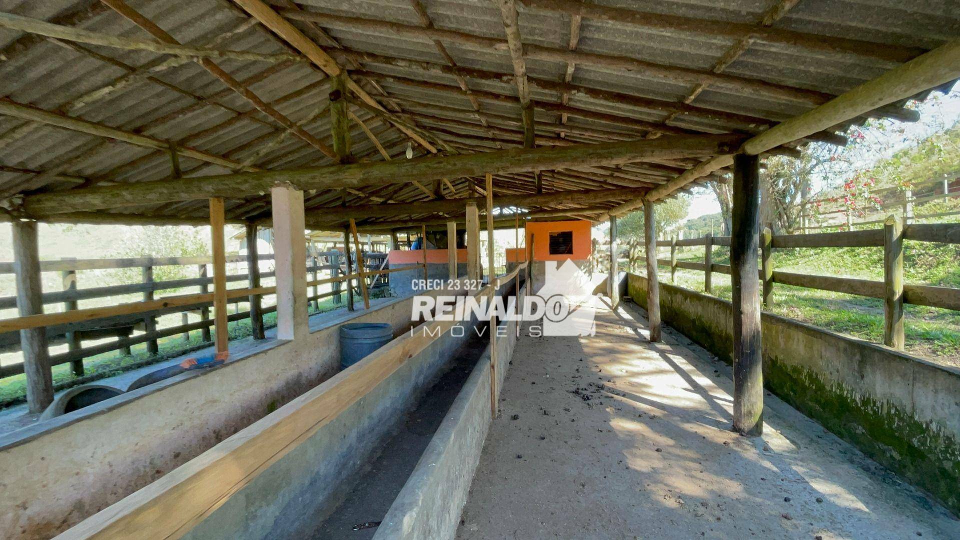 Fazenda à venda com 8 quartos, 900m² - Foto 22