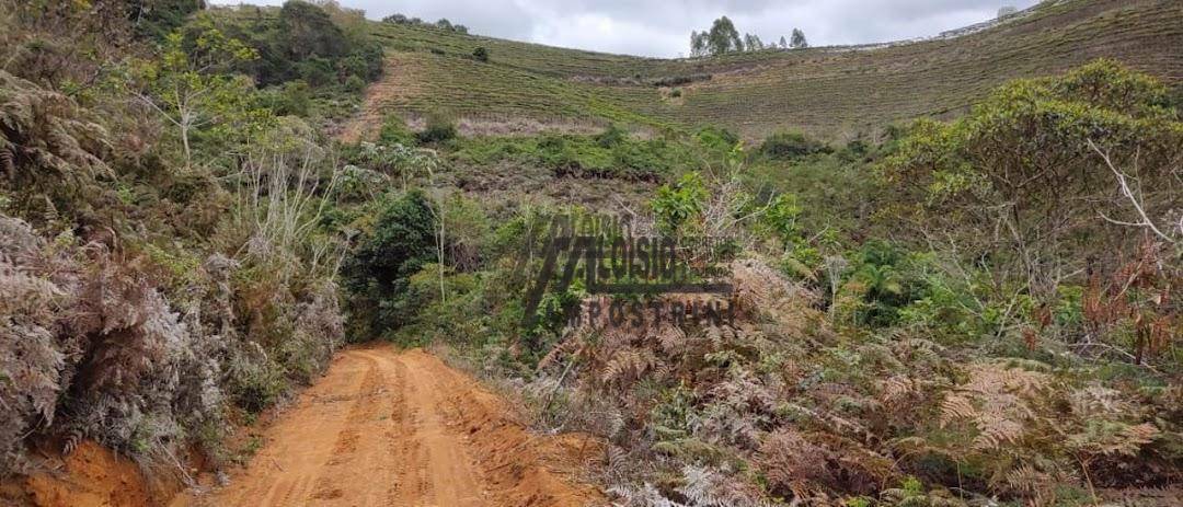 Fazenda à venda, 1452000M2 - Foto 39