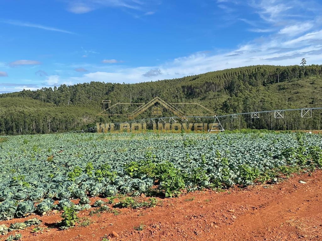 Fazenda à venda, 85m² - Foto 9