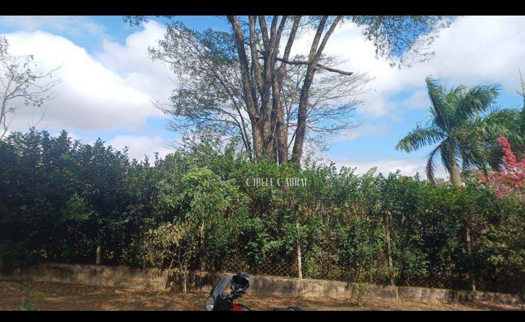 Terreno à venda, 1100M2 - Foto 3