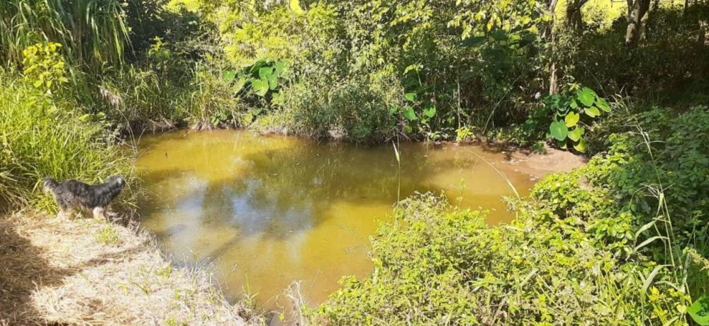 Fazenda para alugar com 4 quartos, 200m² - Foto 4