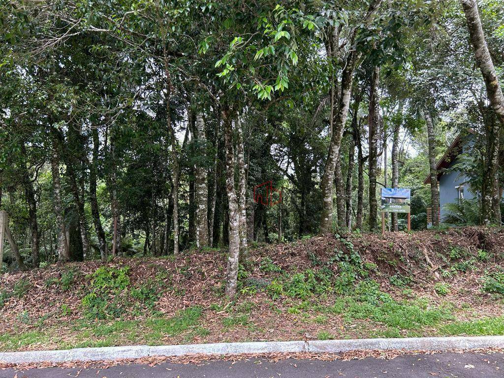 Loteamento e Condomínio à venda, 800M2 - Foto 6