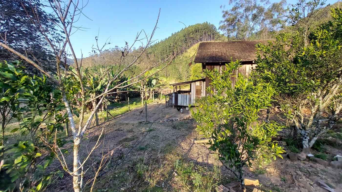 Fazenda à venda com 3 quartos, 140000m² - Foto 10