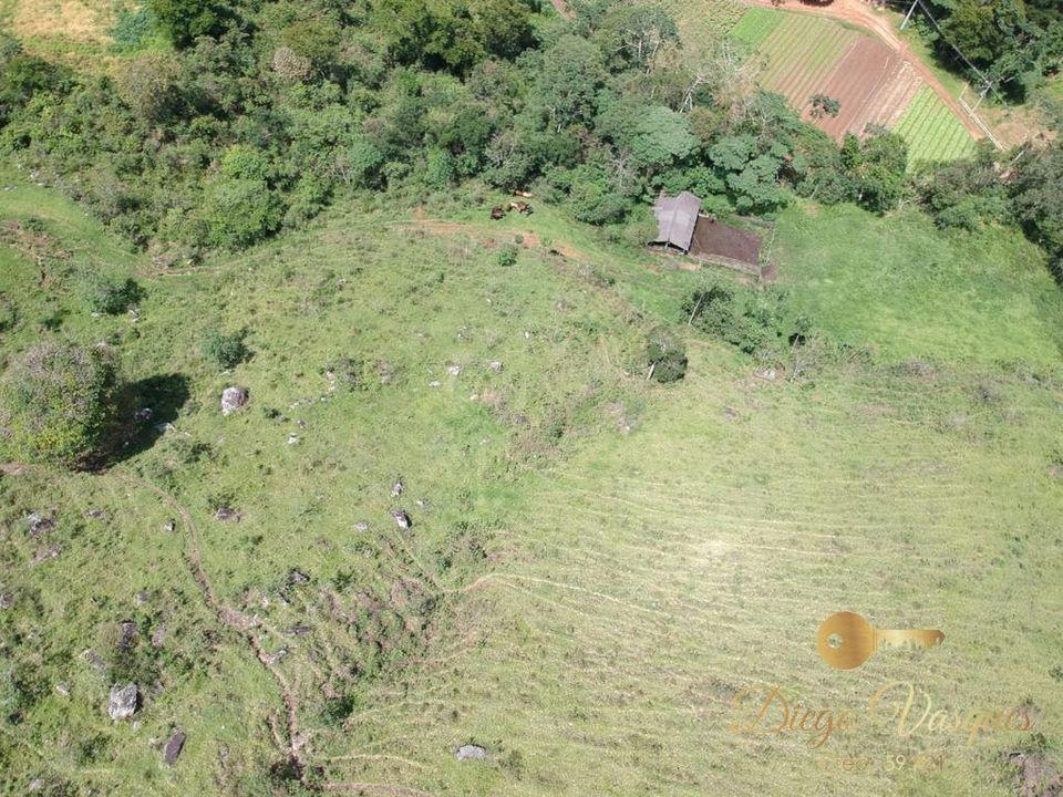 Fazenda à venda com 3 quartos, 280000m² - Foto 19