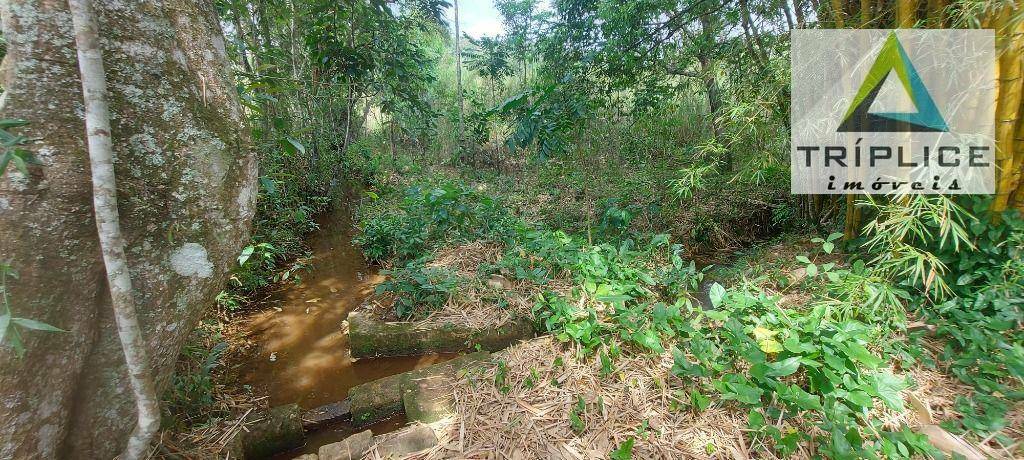 Fazenda à venda com 8 quartos, 1910000M2 - Foto 21