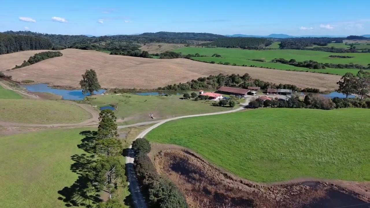 Fazenda-Sítio-Chácara, 174 hectares - Foto 2