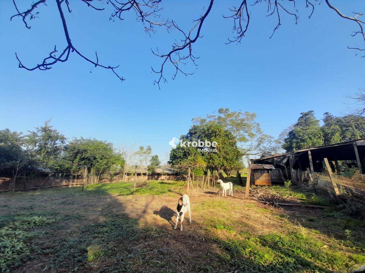 Terreno à venda, 88000M2 - Foto 3