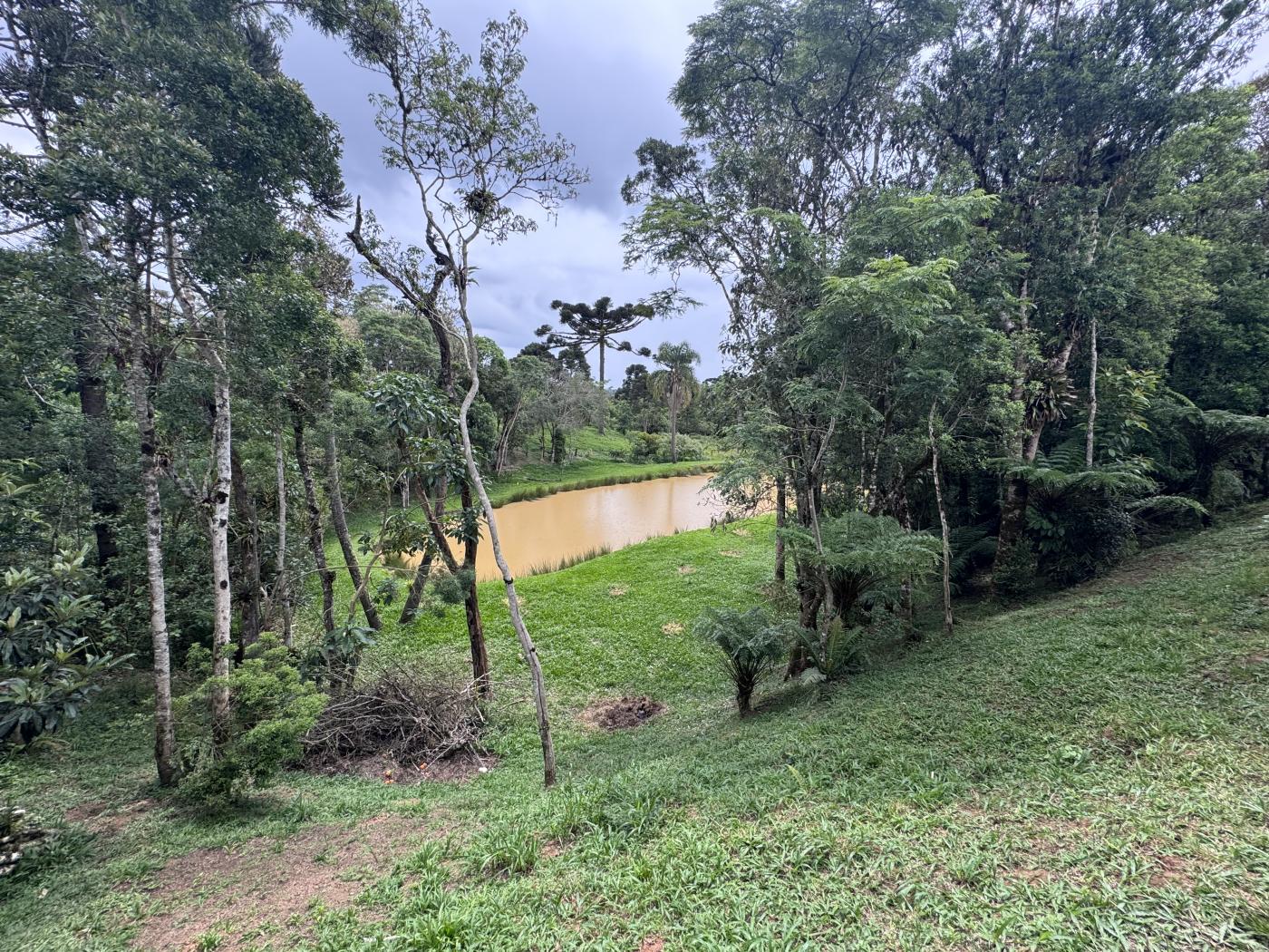 Chácara à venda com 4 quartos, 15000m² - Foto 35