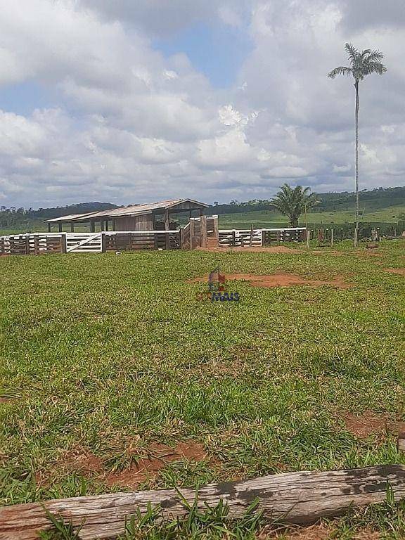 Fazenda à venda com 1 quarto, 3533200M2 - Foto 3