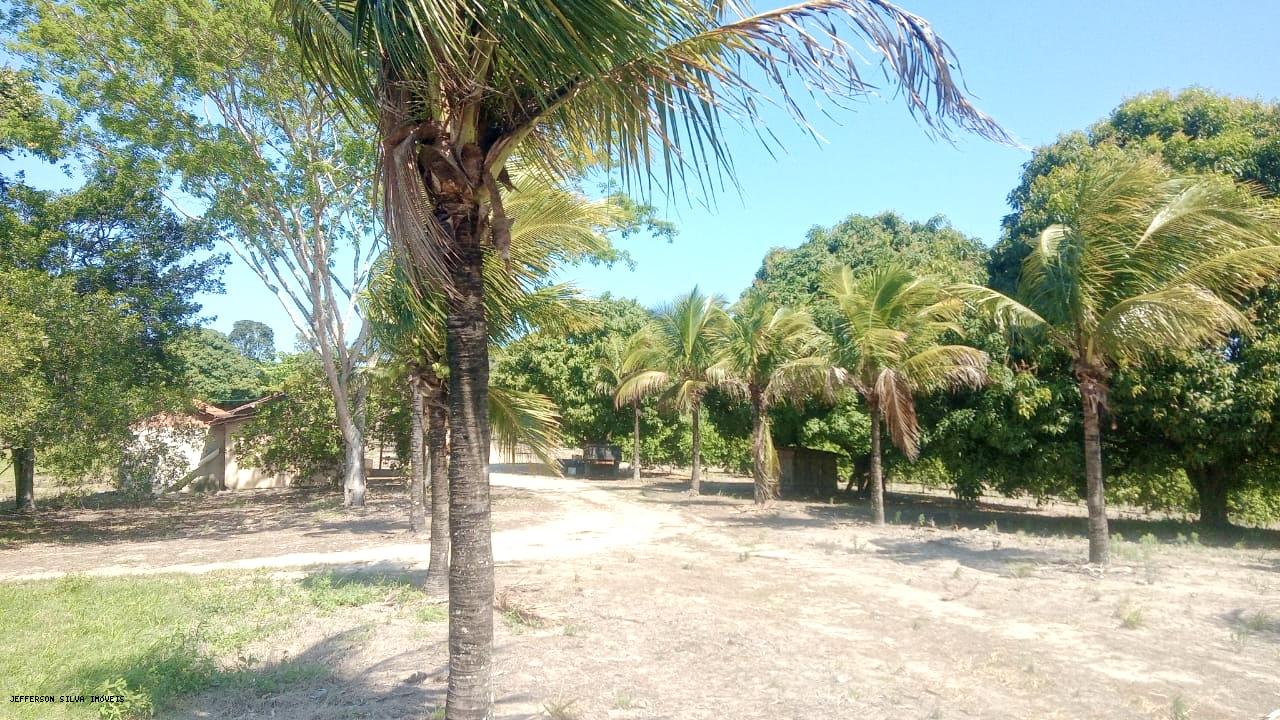 Fazenda à venda, 500000m² - Foto 11